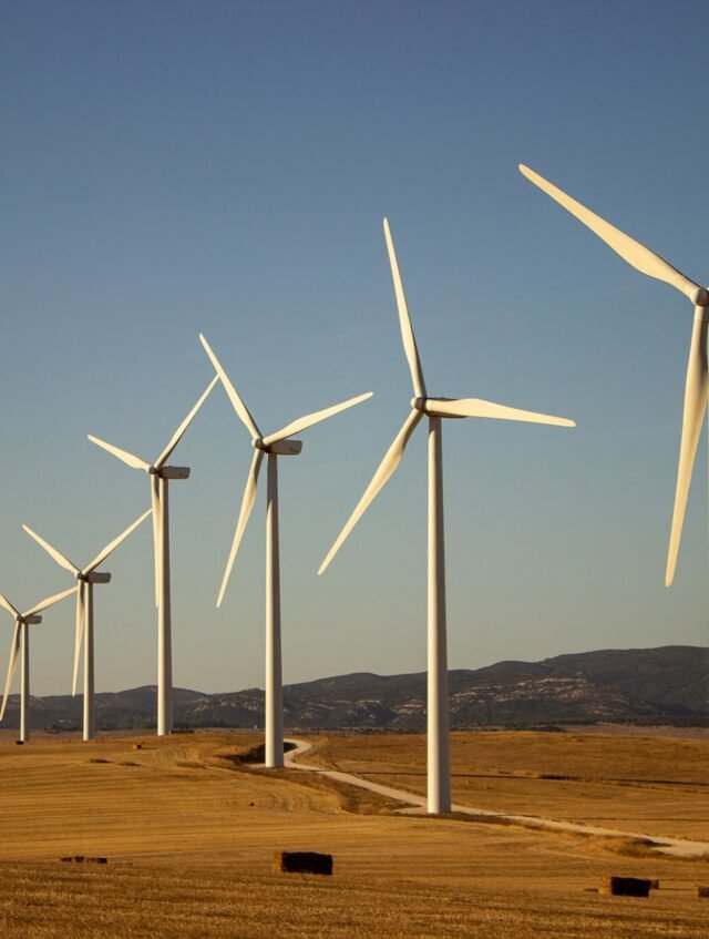 landscape-with-windmills landscape-with-windmills